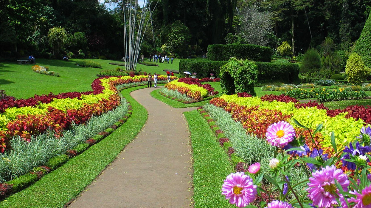 Peradeniya Garden