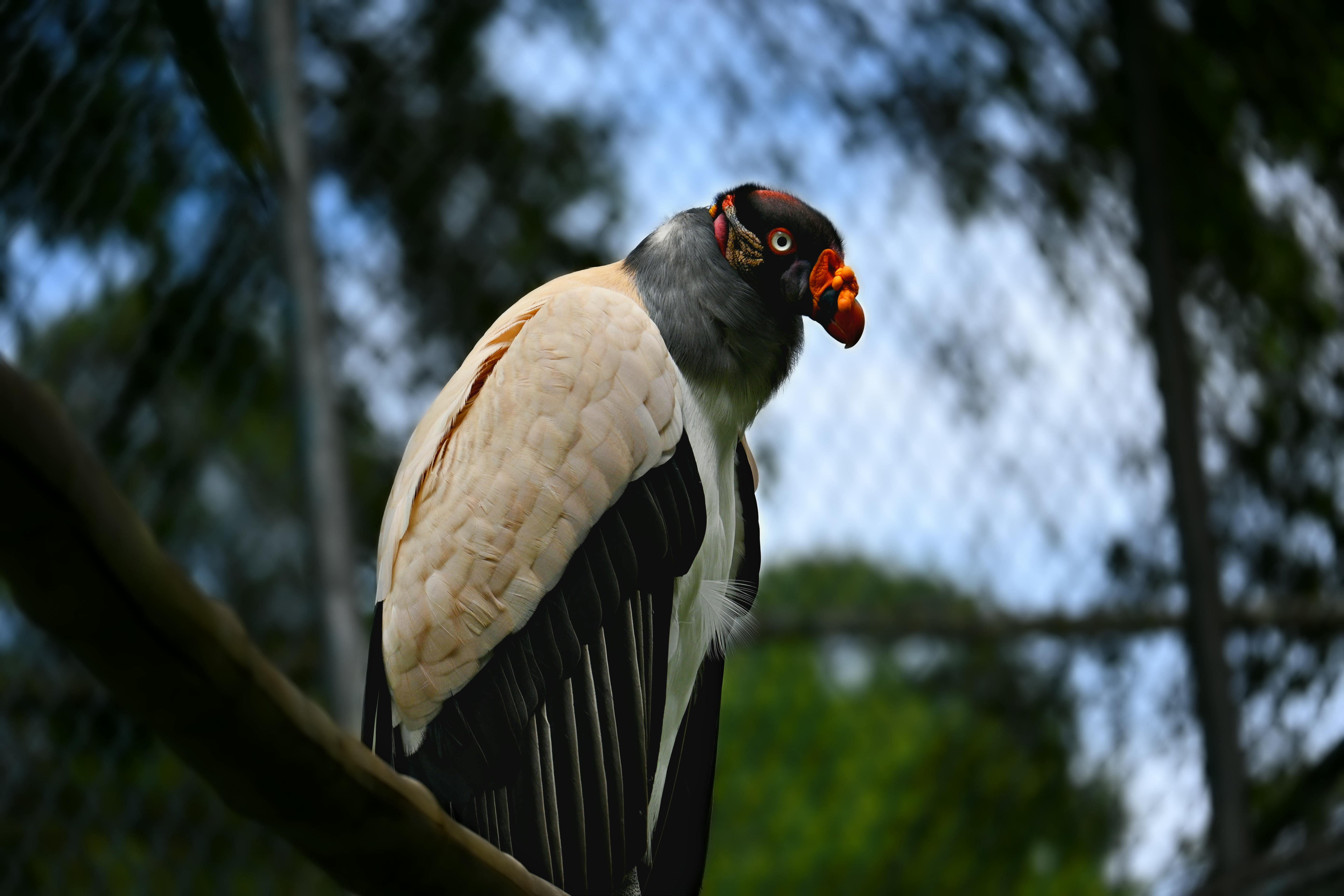 Dehiwala Zoo